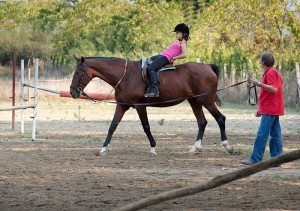 online horse mortality insurance