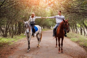 horse medical insurance online