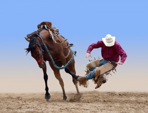 horse liability insurance