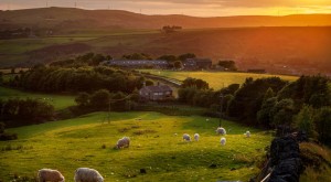 agri-tainment insurance