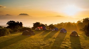 camp insurance