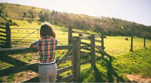 guest and dude ranch insurance