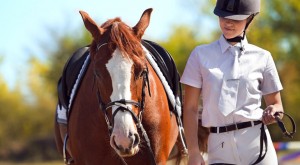 online horse insurance