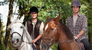 horse medical insurance