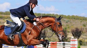 horse show event liability