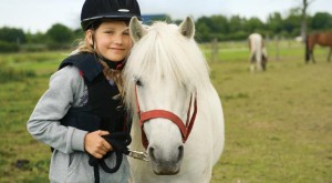 pony rides insurance