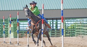 rodeo liability insurance