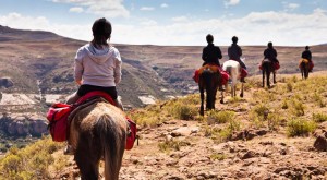 guided trail rides insurance