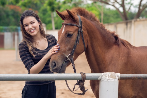 The Necessity of Horse Business Liability Insurance