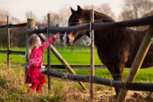 little girl reaching out to pet a horse